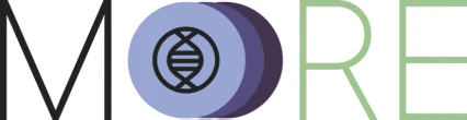 MORE logo