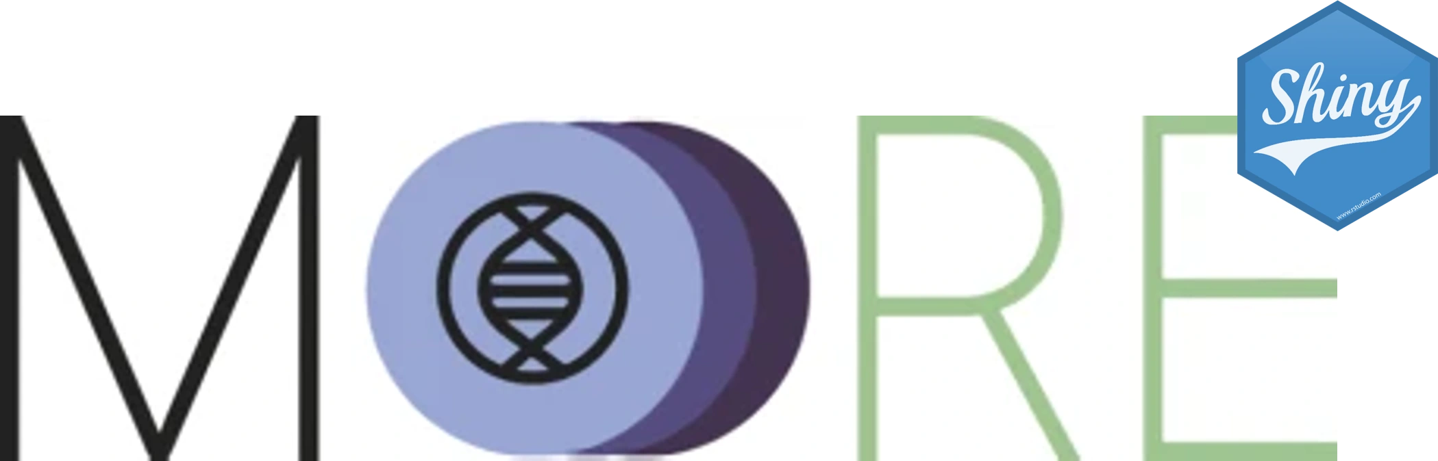MOREshiny logo